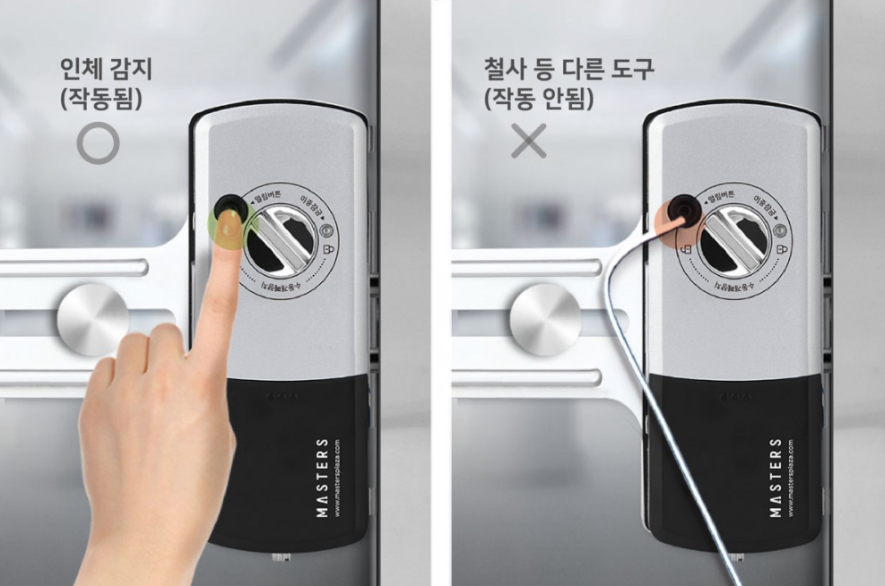마스터즈 글라스번호 250NGL 